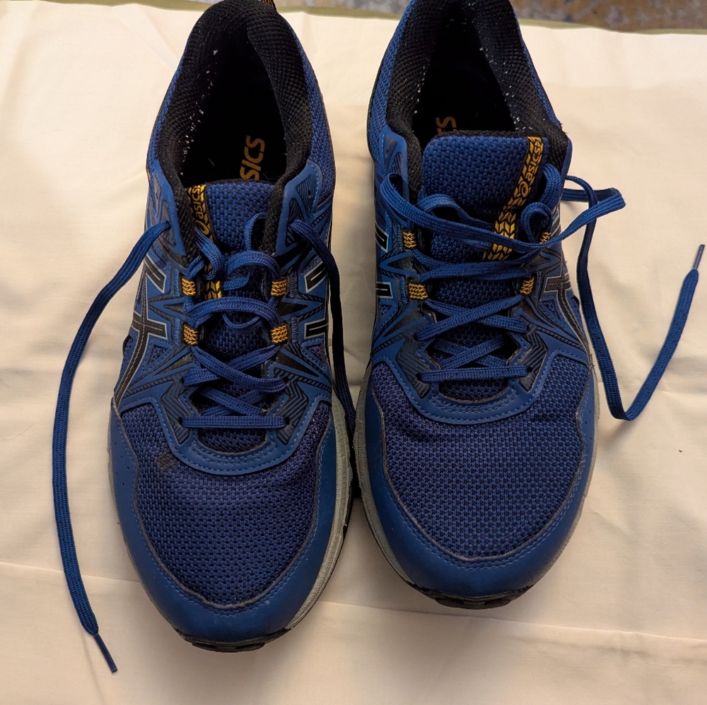ASICS Men's Blue Running Shoes